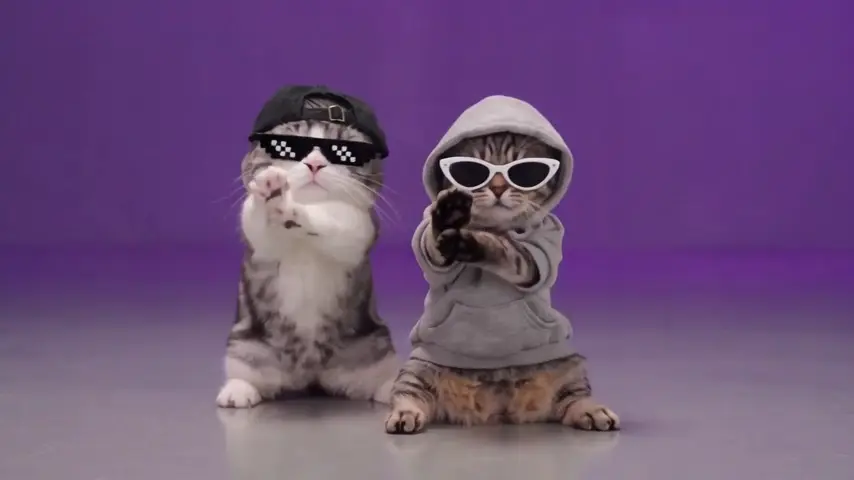 A2O LITE NEON AI Dance · Pets
