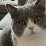 Bing Bing Bing Kicking AI: Your photo 2