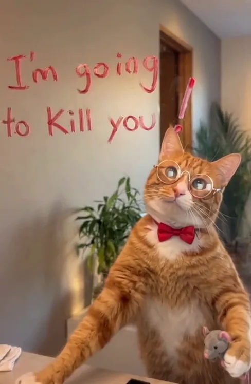 I'm Going to Kill You Cat AI · Mirror