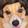 the pet in the wig
