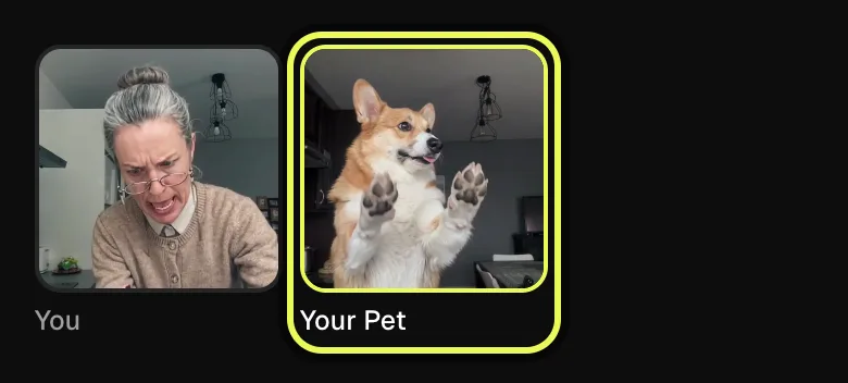 Step 2: Your Pet selected in the Bad Times style choices