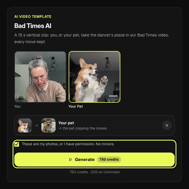 Step 4 on a computer: the pet photo, consent box and Generate button