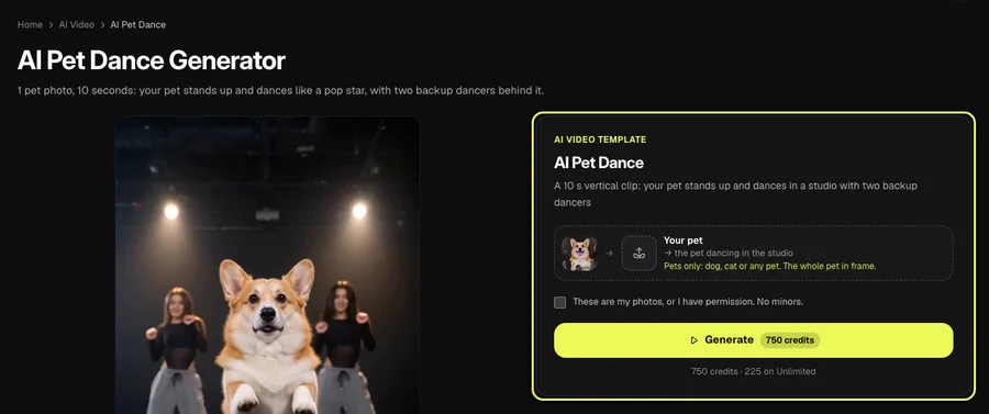 Step 1 on a computer: the AI Pet Dance template card highlighted